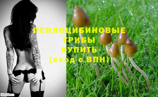СК Одинцово