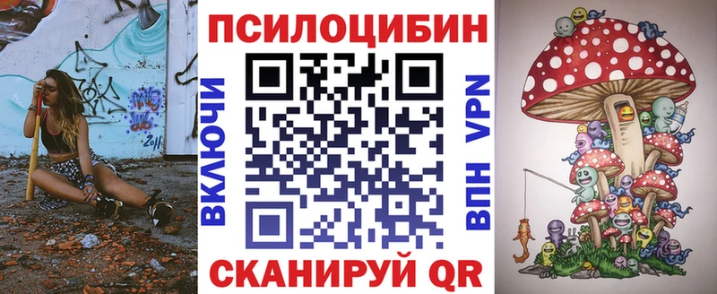omg как зайти закладка Белёв Псилоцибиновые грибы Psilocybe